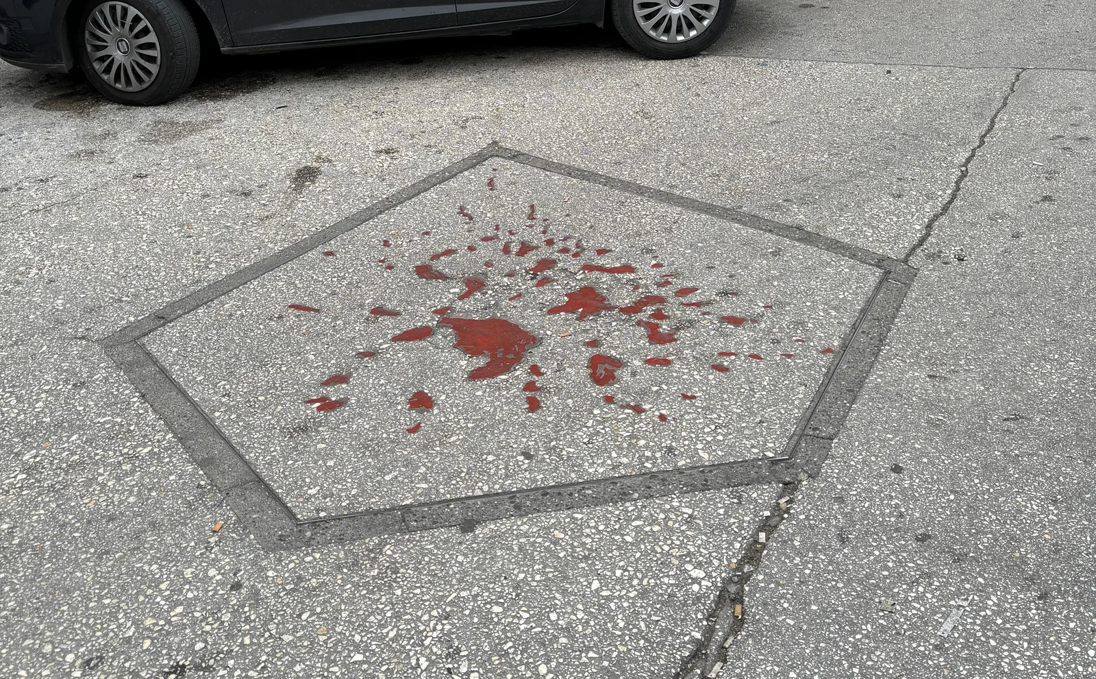 Sarajevo Rose
